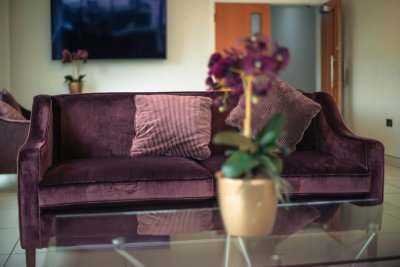 Plum Noir is de kleur die je woonkamer nu nodig heeft